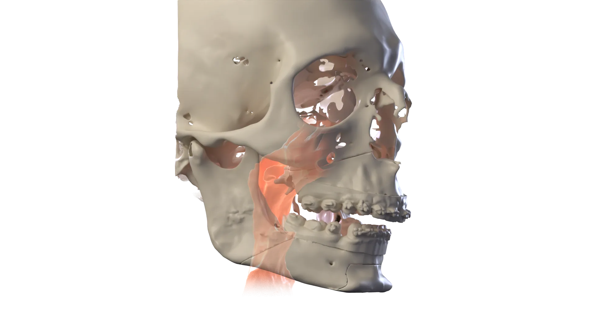 3D image: Chapter 1 · Understand