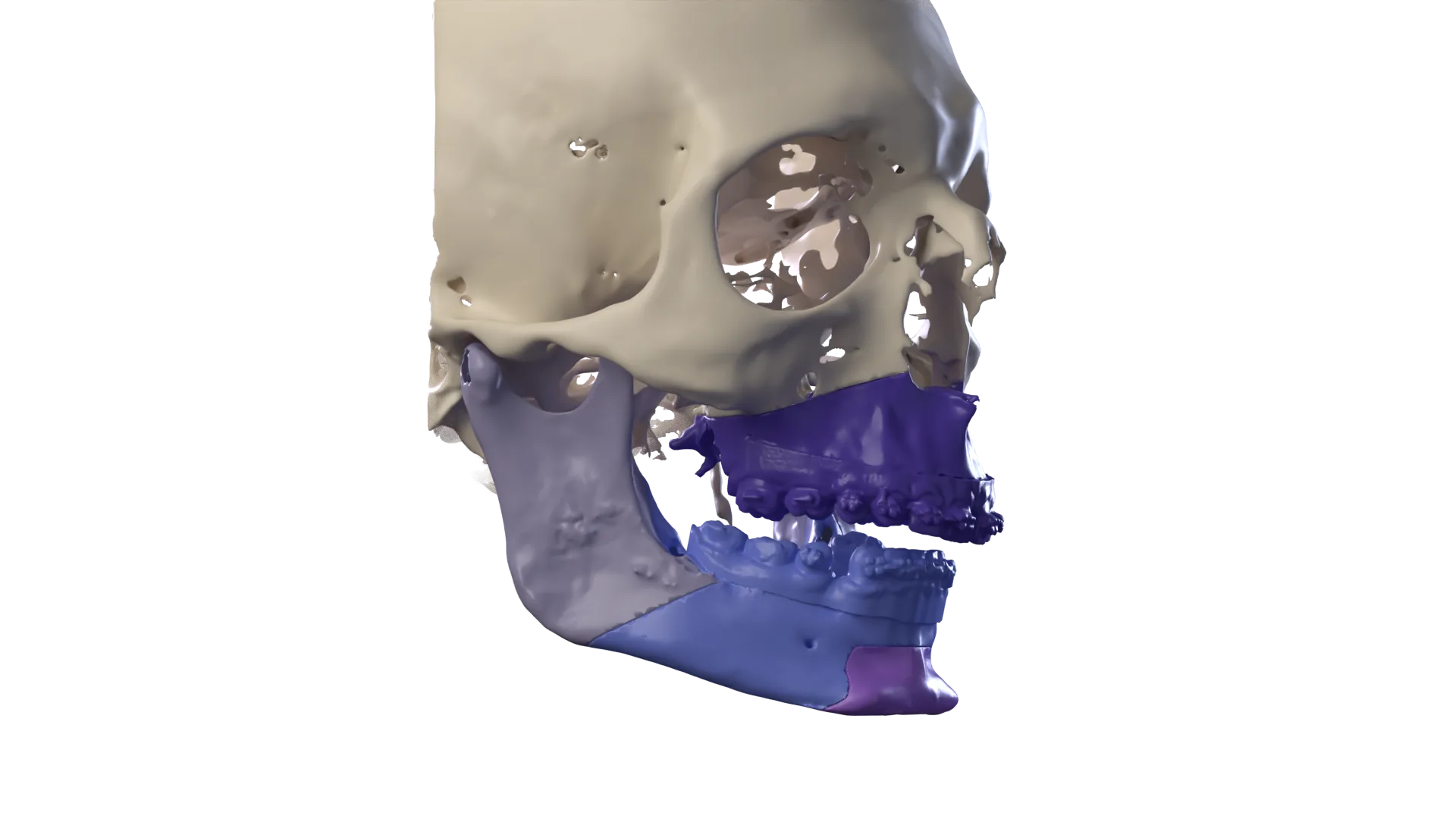 3D image: What you'll find