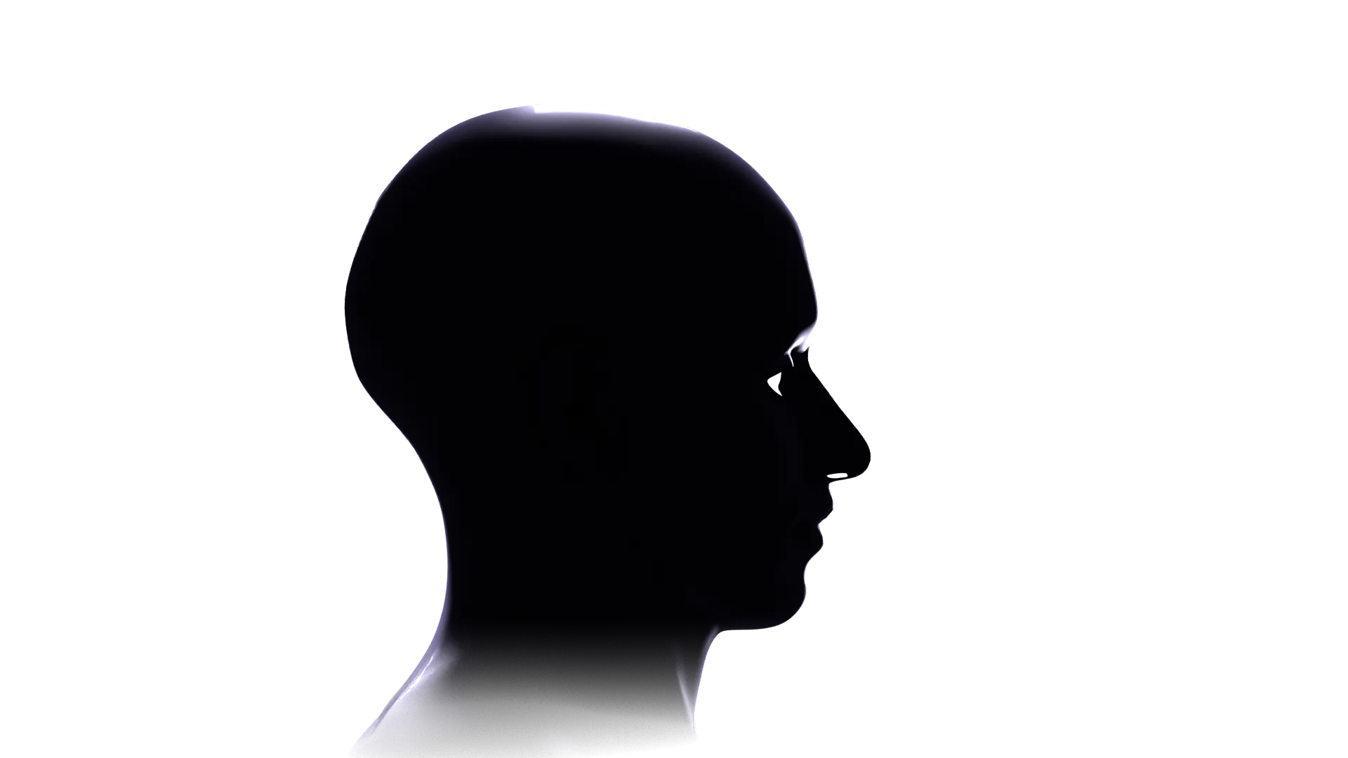 3D image: Opening